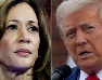 Harris y Trump, dos estilos para seducir al votante latino